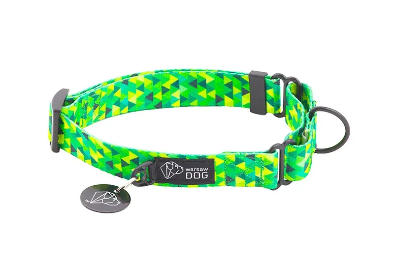 różne typy obroży dla psa