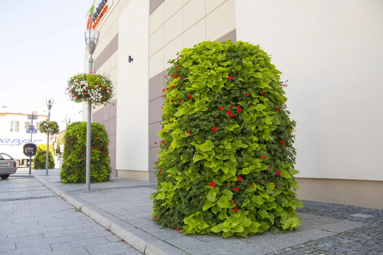 rośliny do kwietnika kaskadowego