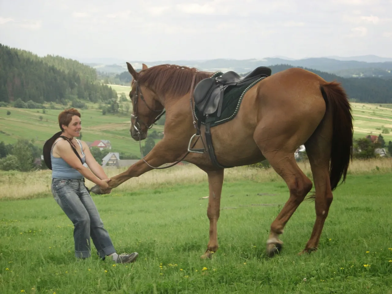 Koń podążający za człowiekiem bez uwiązania