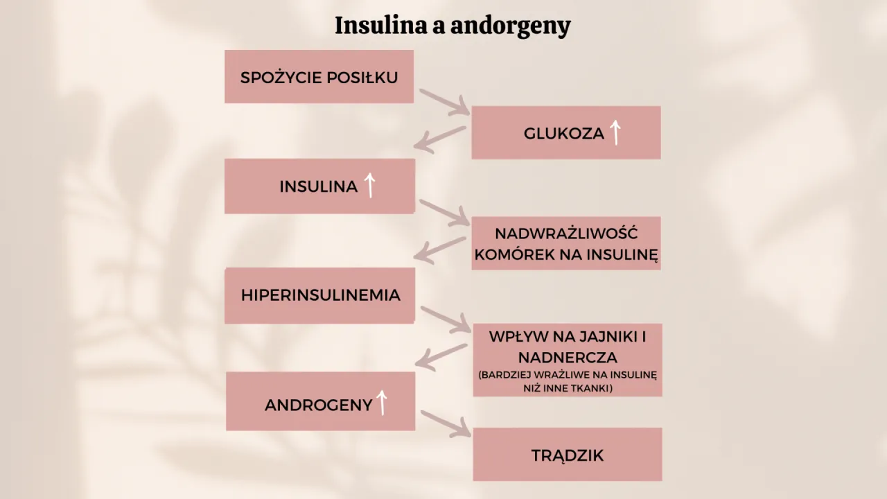 hormony a trądzik schemat