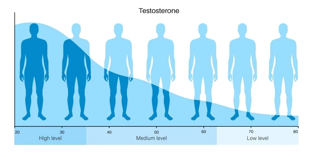 normy testosteronu wykres wiek