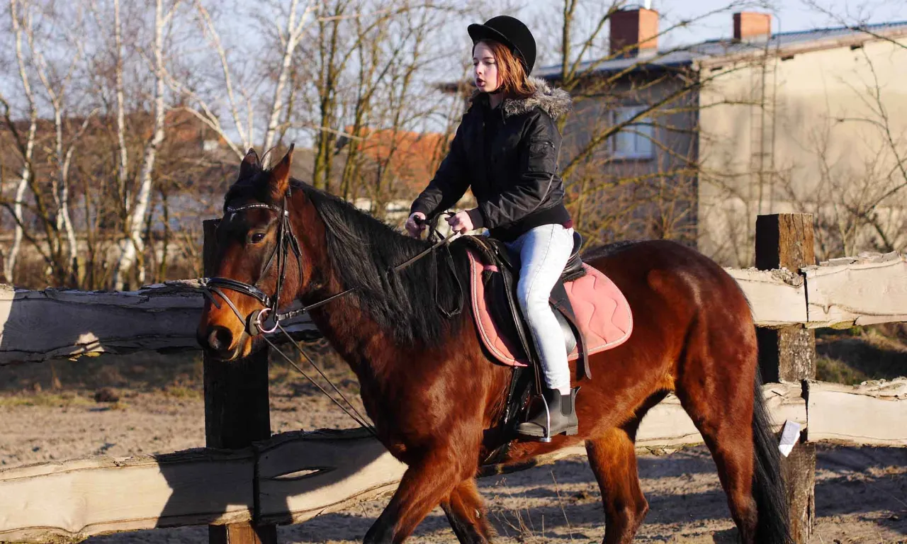 Stadnina koni Leszno