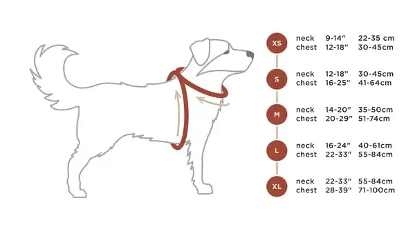 pies pomiar szyi obroża taśma miernicza