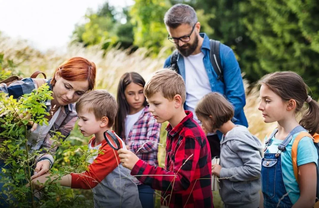 Kwalifikacje kierownika wycieczki szkolnej