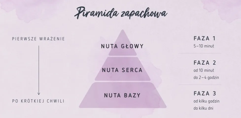 piramida zapachowa perfum infografika