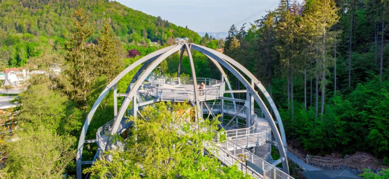 Baumwipfelpfad Harz Glassteg