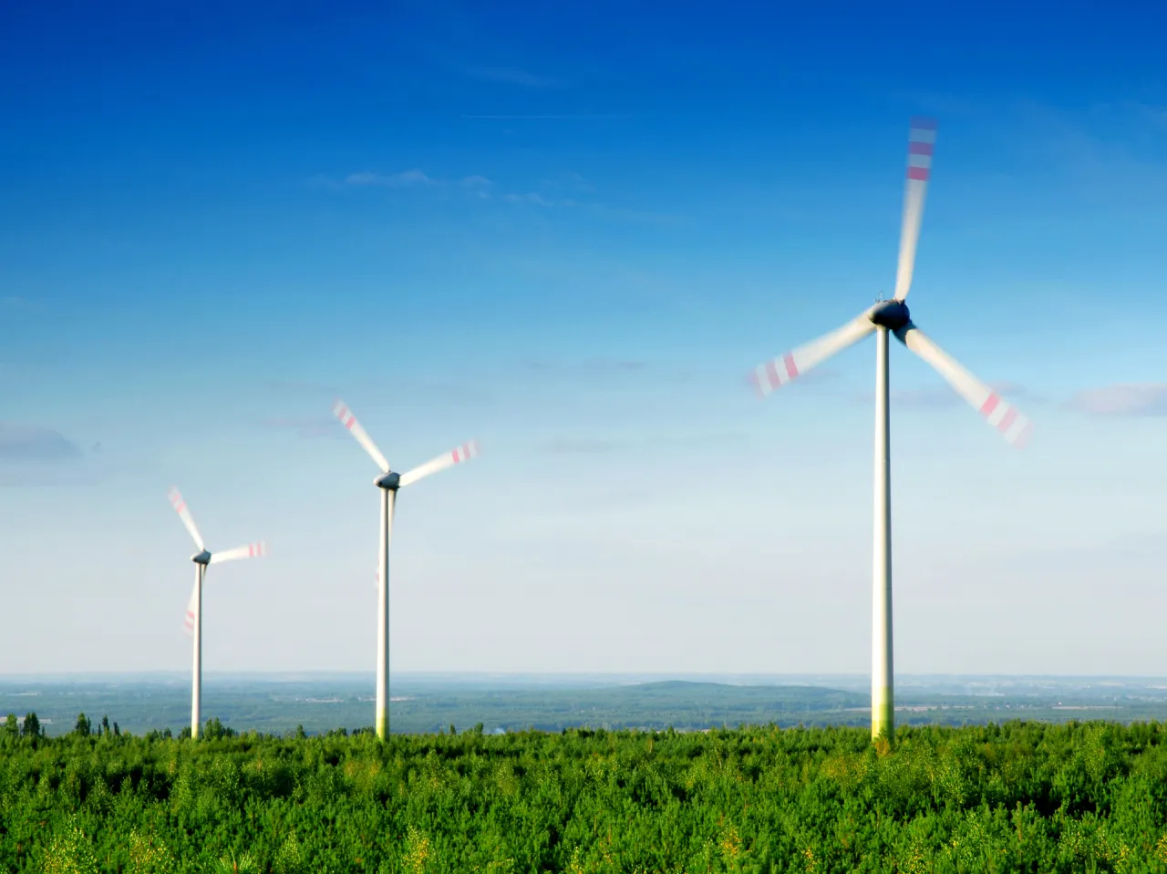 Rekultywacja terenów po kopalni Bełchatów