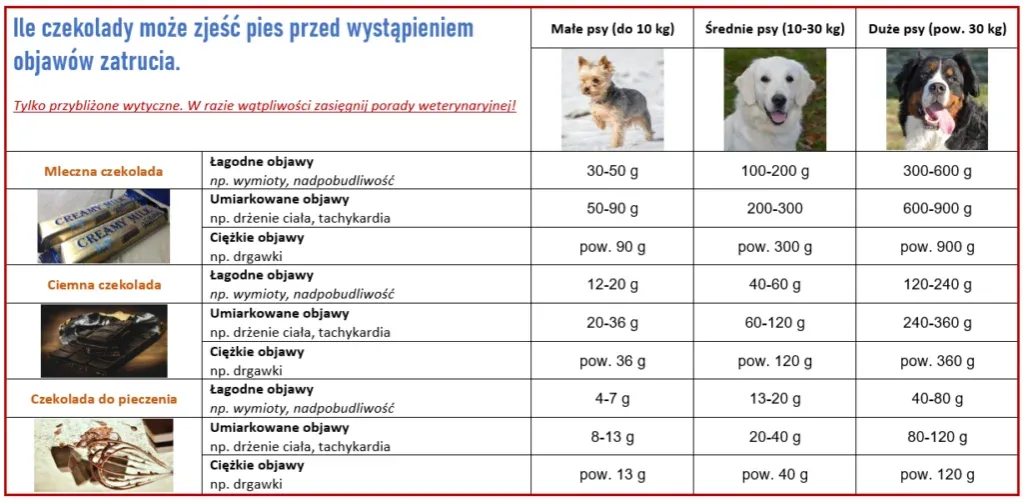 rodzaje czekolady toksyczność dla psa