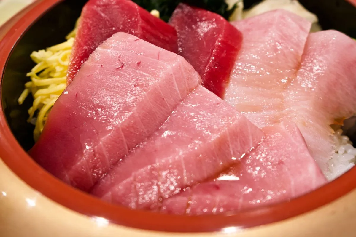 Sashimi co to? Miska z ryżem, posiekanym omletem i kawałkami surowej ryby, prawdopodobnie tuńczyka.