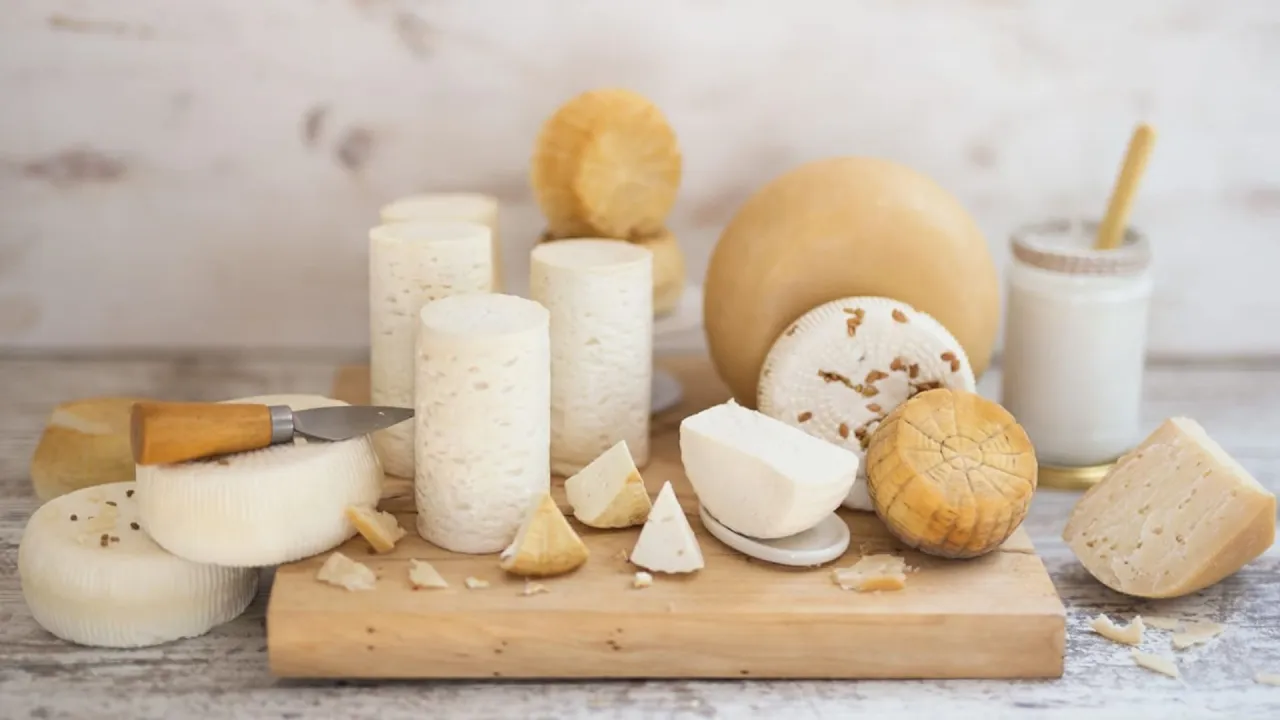 r&oacute;żne rodzaje ser&oacute;w kozich dojrzewających