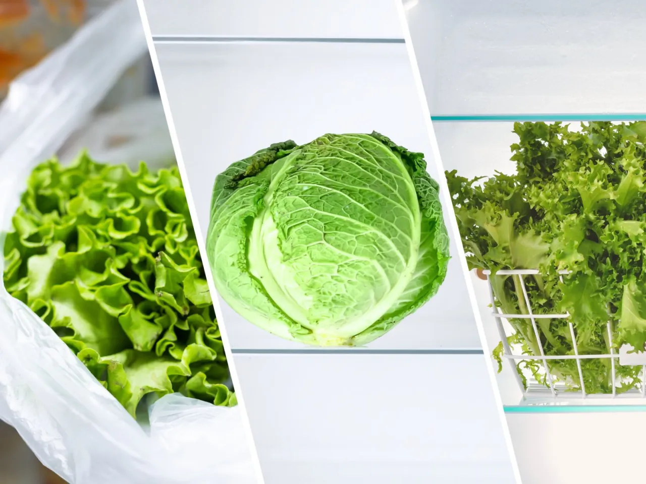 świeża sałata w lod&oacute;wce