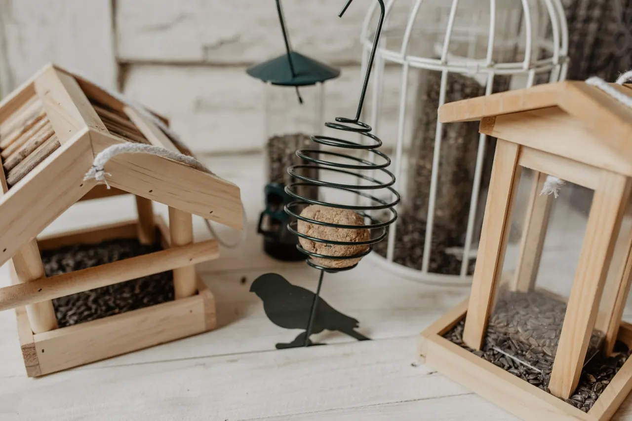 Zbi&oacute;r zi&oacute;ł dla ptak&oacute;w bezpieczne miejsce