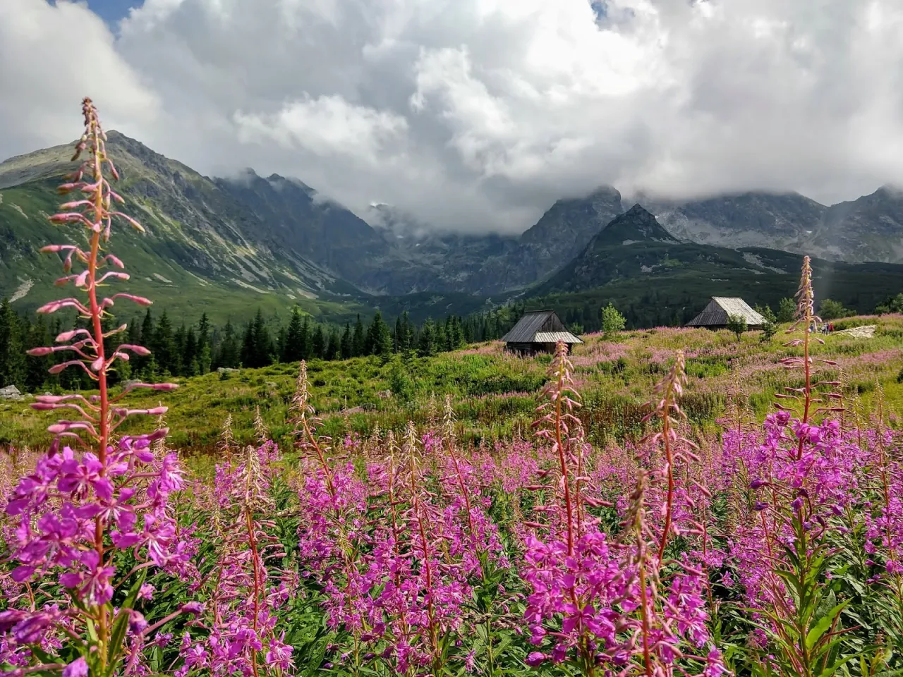Hala Gąsienicowa widoki Kasprowy Wierch