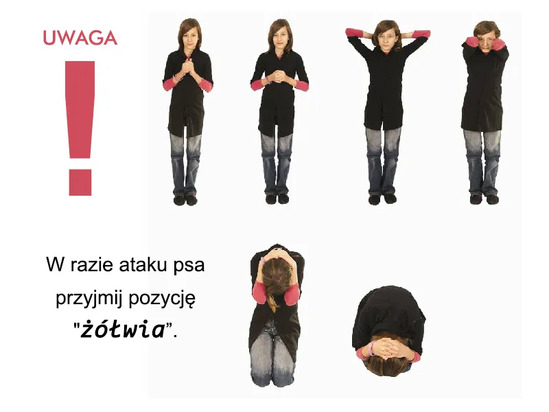 Obrona przed psem pozycja obronna