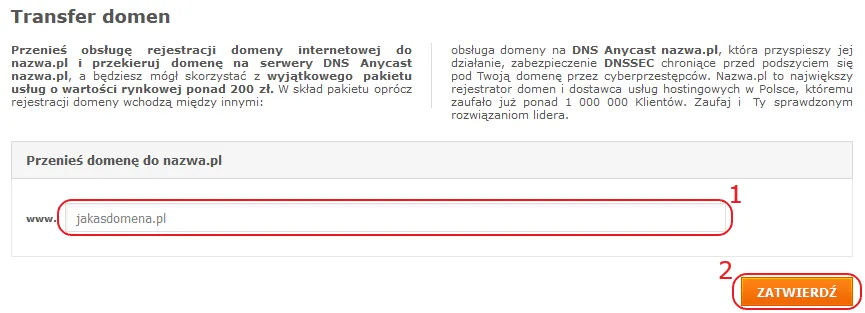 panel klienta rejestratora domen