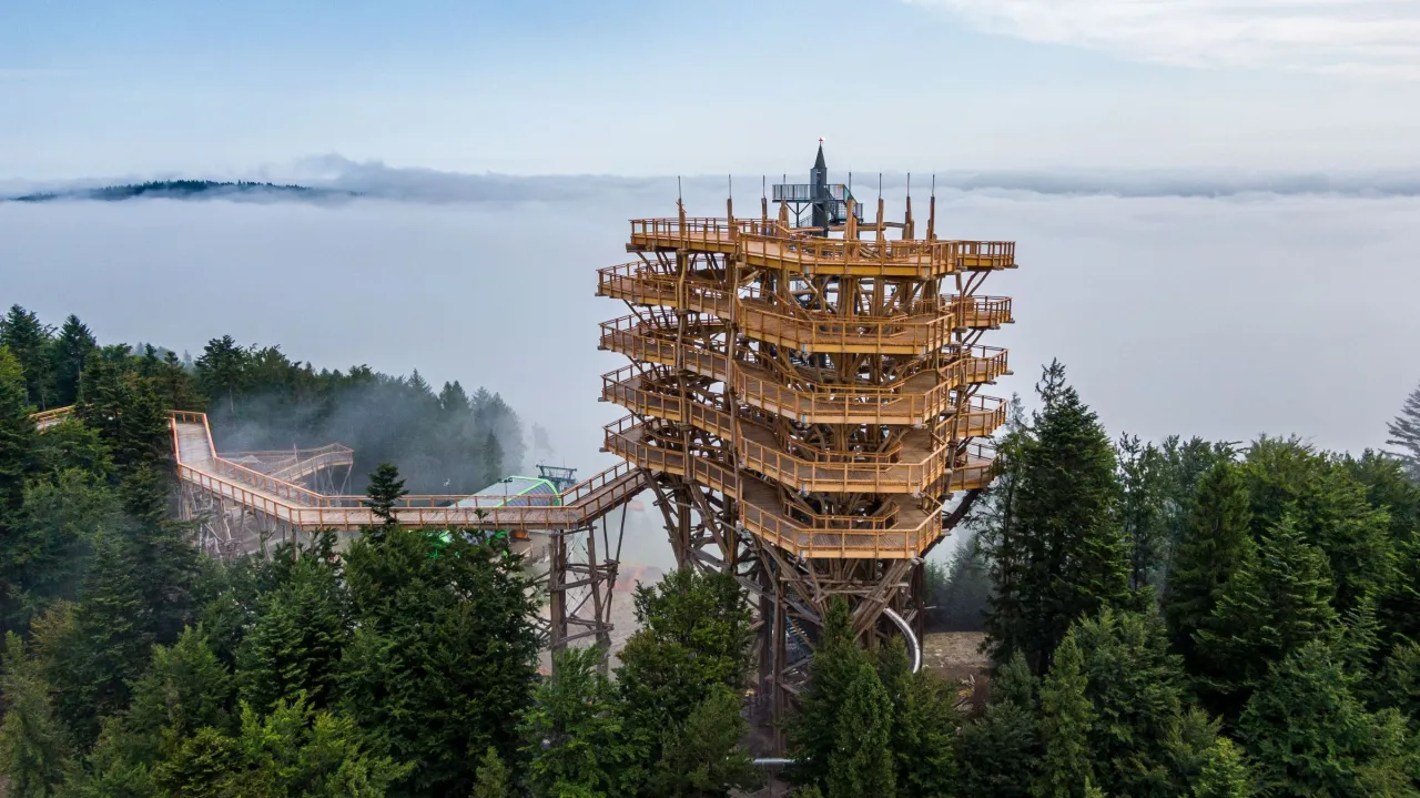 Wieża widokowa Śląski Ogród Botaniczny Mikołów