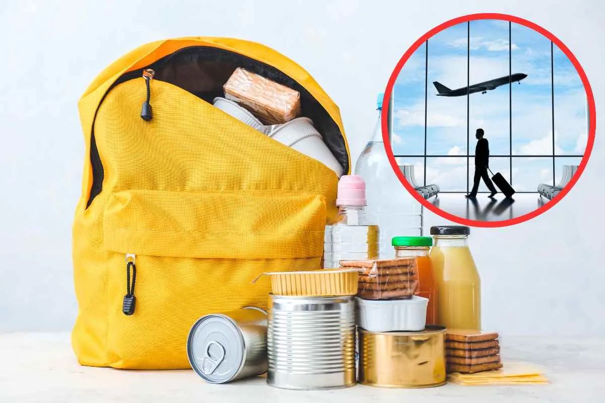 cibo solido bagaglio a mano aereo