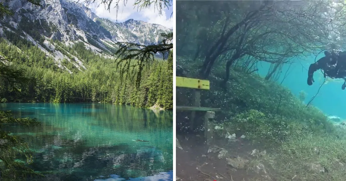 Przyczyna Górna krajobraz lasy jeziora