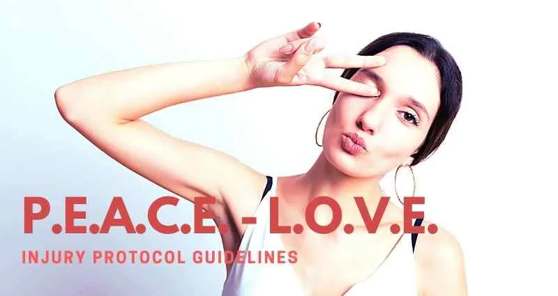 protokół PEACE LOVE grafika