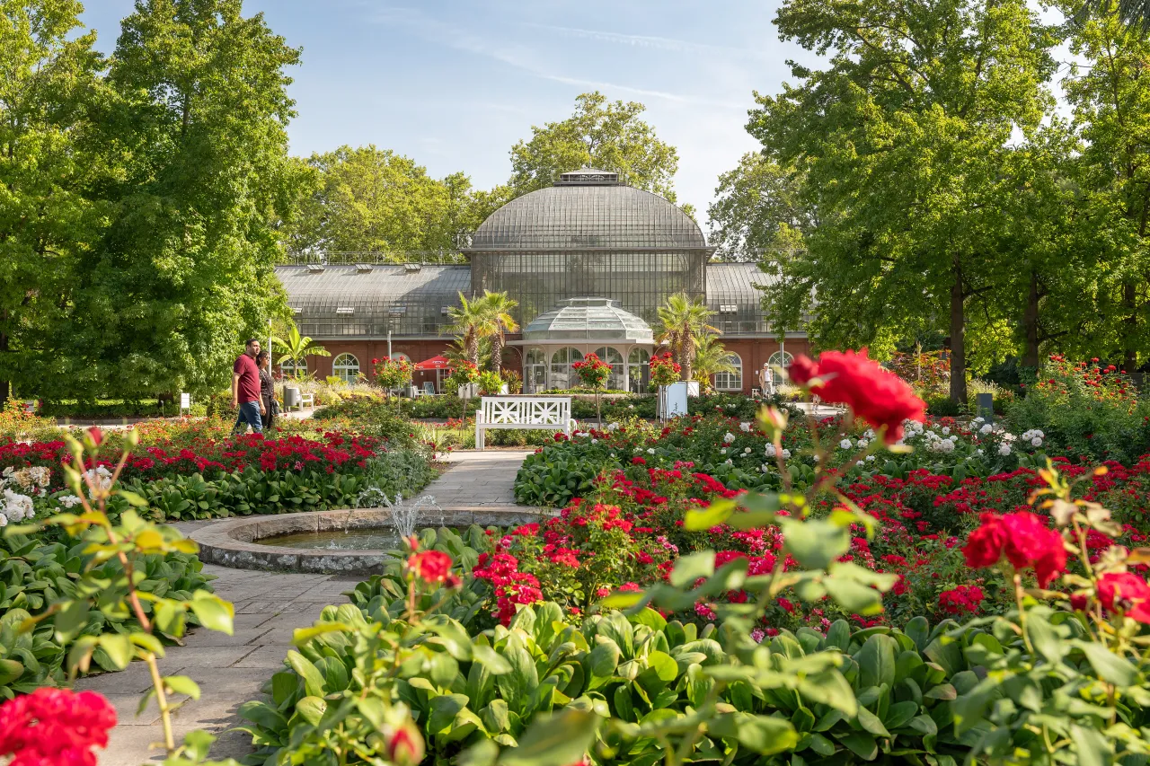 Palmengarten Frankfurt