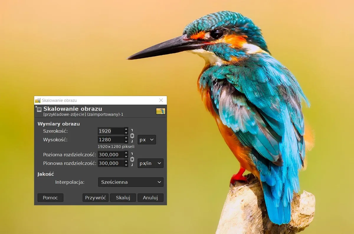 Zdjęcie Jak zmniejszyć zdjęcie na stronie HTML i poprawić wydajność strony