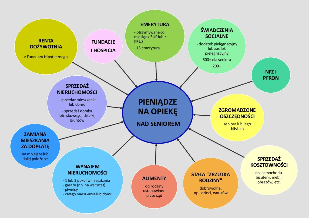 czynniki wpływające na koszt opieki nad seniorem infografika