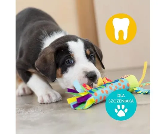 Bezpieczne gryzaki dla szczeniaka