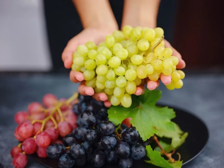 winogrona porcja na diecie