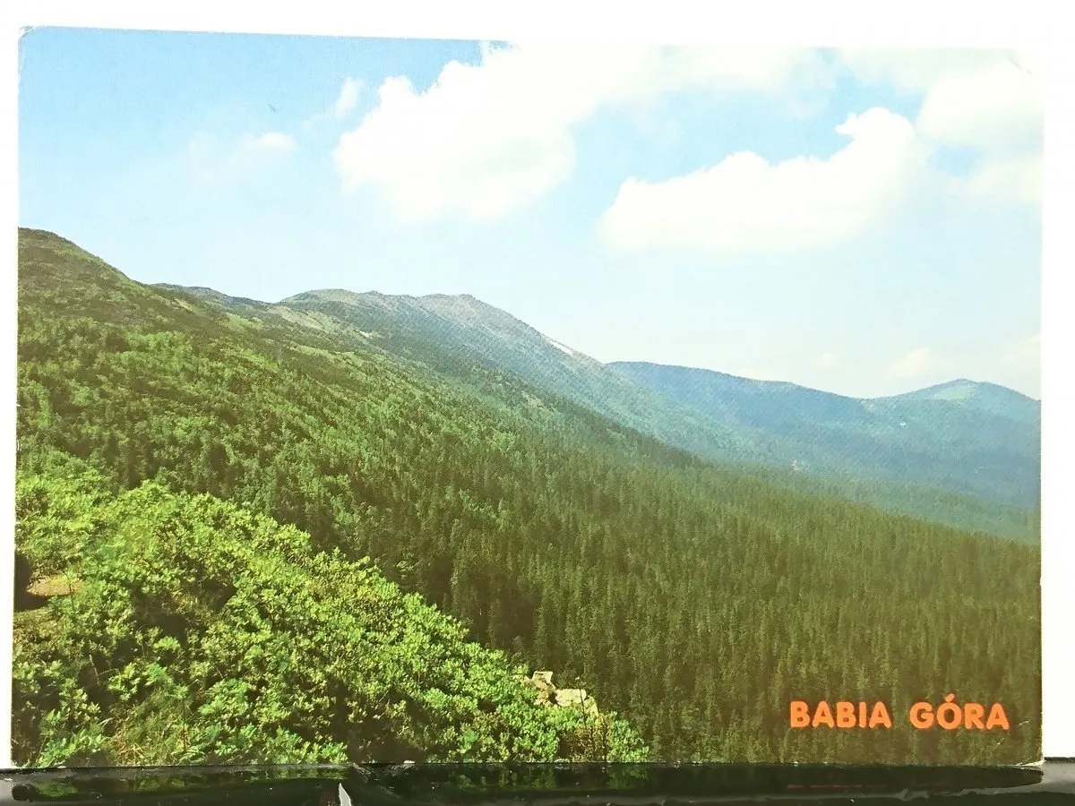 Babia G&oacute;ra widok z Sokolicy