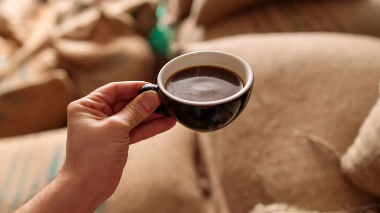 kawa wpływ na jelita mechanizm