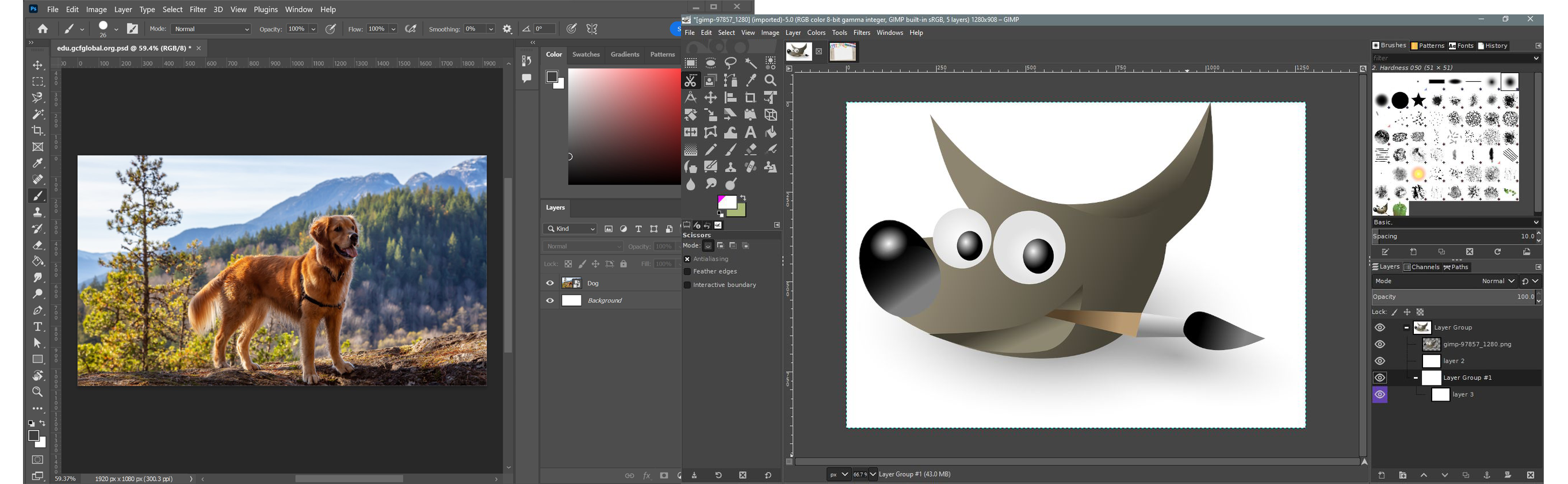 Porównanie interfejsów GIMP i Photoshop. Na ekranie widać psa na tle gór, a obok logo GIMP z pędzlem.