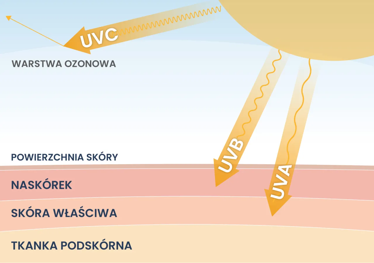 Promieniowanie słoneczne UVA i UVB dociera do sk&oacute;ry, podczas gdy UVC jest blokowane przez warstwę ozonową.
