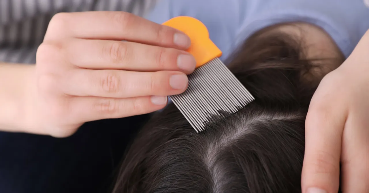 Rodzic sprawdzający głowę dziecka pod kątem wszy