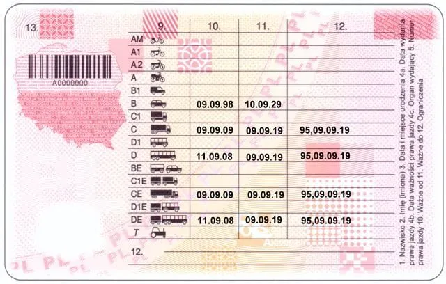 świadectwo kwalifikacji zawodowej kierowcy