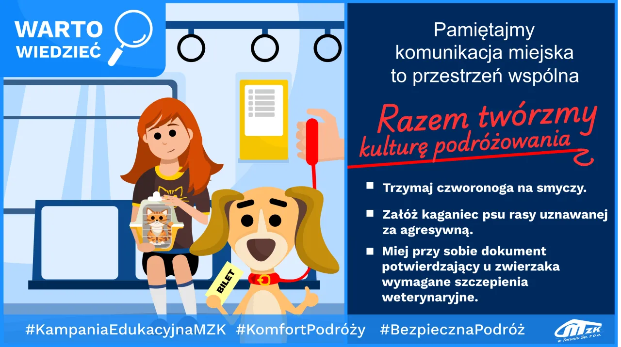 Pies w autobusie komunikacji miejskiej