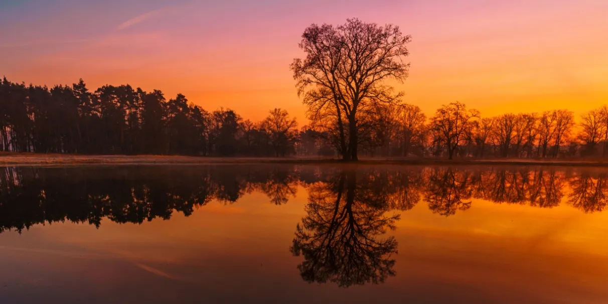 złota godzina fotografia, ostre słońce cienie fotografia