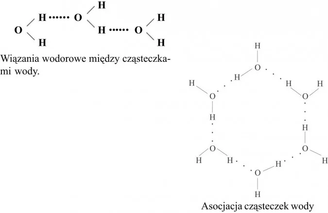 wiązania wodorowe między cząsteczkami wody