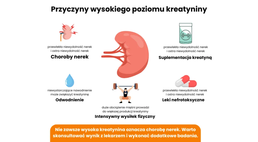Wysoka kreatynina przyczyny i objawy