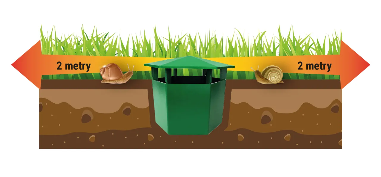 naturalne bariery na ślimaki w ogrodzie