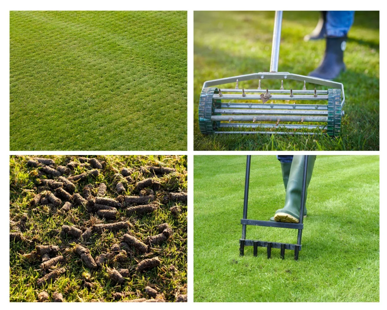 kalendarz aeracji trawnika / aerator do trawy w akcji