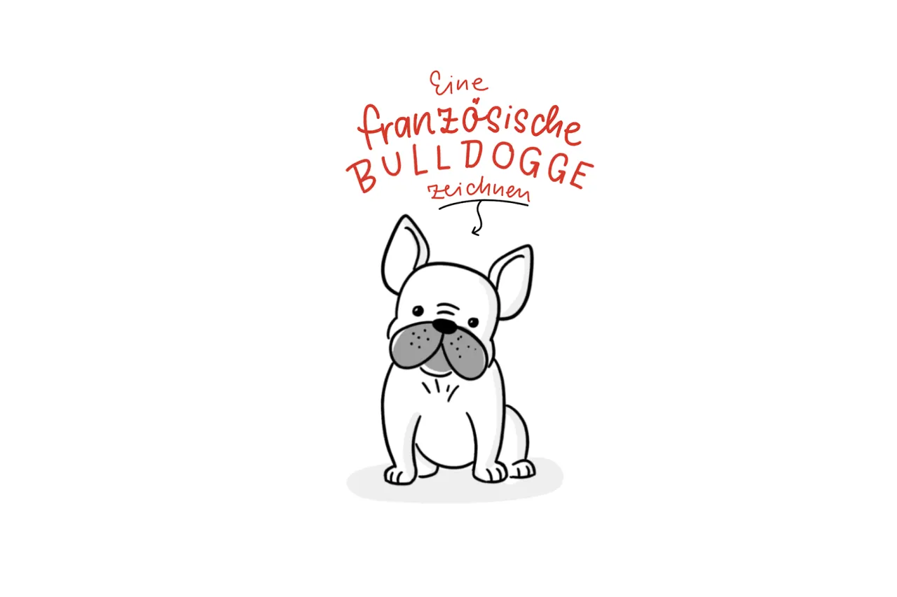 Franz&ouml;sische Bulldogge Merkmale zeichnen