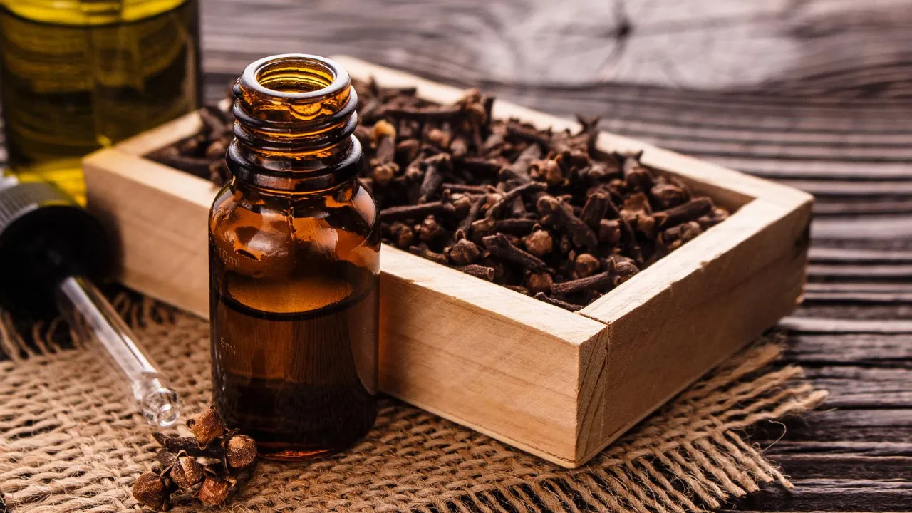 Butelka z olejkiem goździkowym i drewniana skrzynka pełna goździków. Dowiedz się, jak zrobic olejek gozdzikowy w domu.