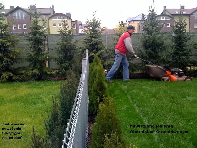 obornik granulowany na trawnik