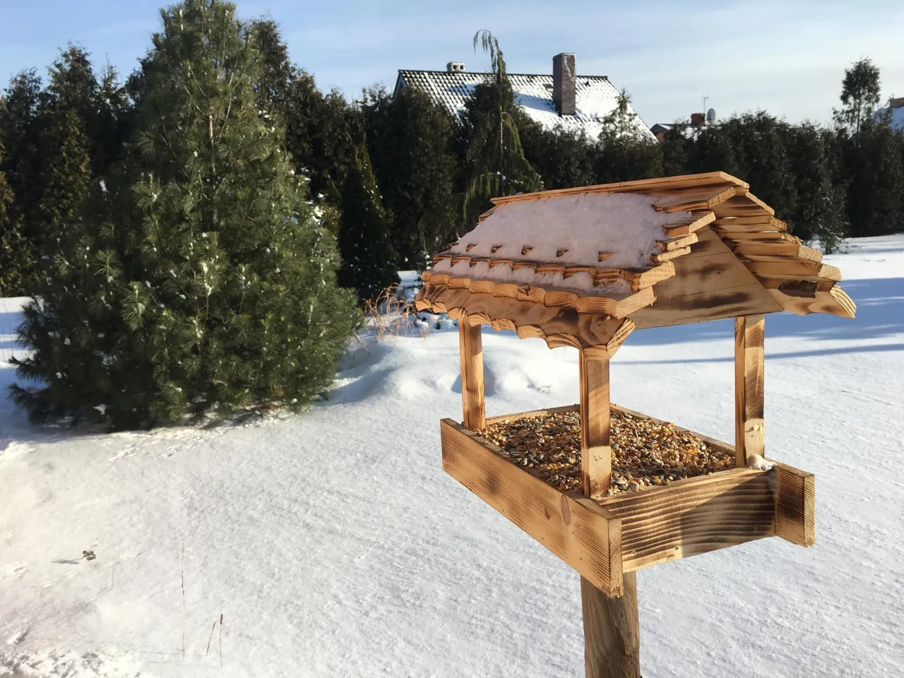 Zimowy karmnik dla ptak&oacute;w z ziarnami