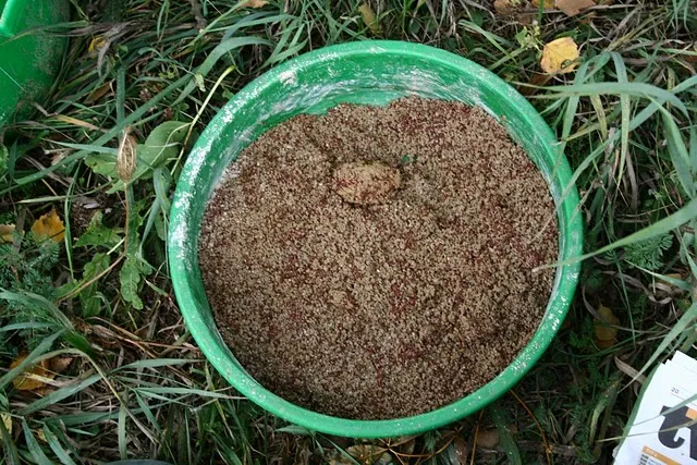 rodzaje glin wędkarskich