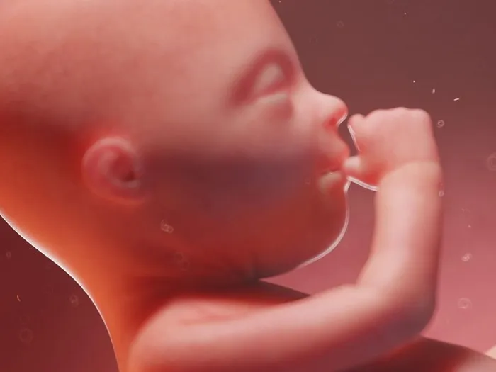 Zdjęcie Ile waży dziecko w 20 tygodniu ciąży? Zaskakujące fakty o wadze i rozwoju