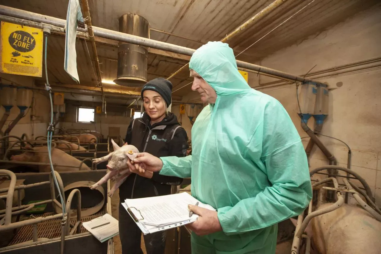 Weterynarz w inspekcji weterynaryjnej lub kontrolujący żywność