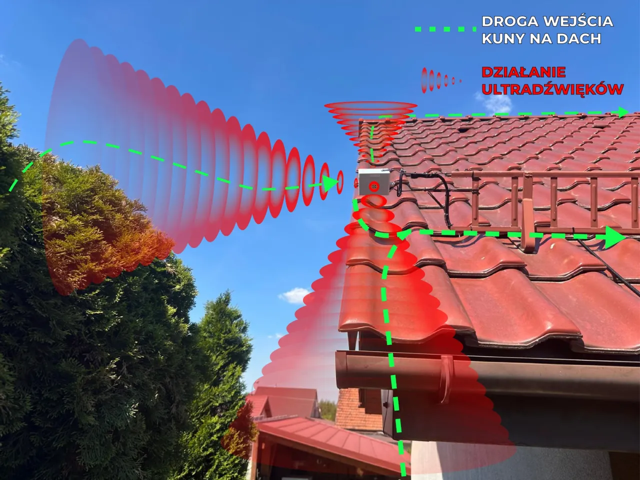 Urządzenie emituje ultradźwięki, odstraszając kuny szkody od dachu. Zielone linie wskazują drogę wejścia.