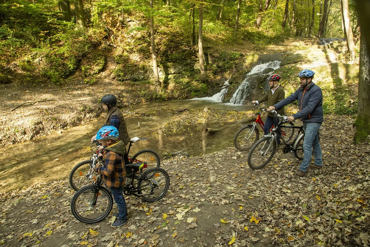 Rodzina na rowerach w lesie Spała