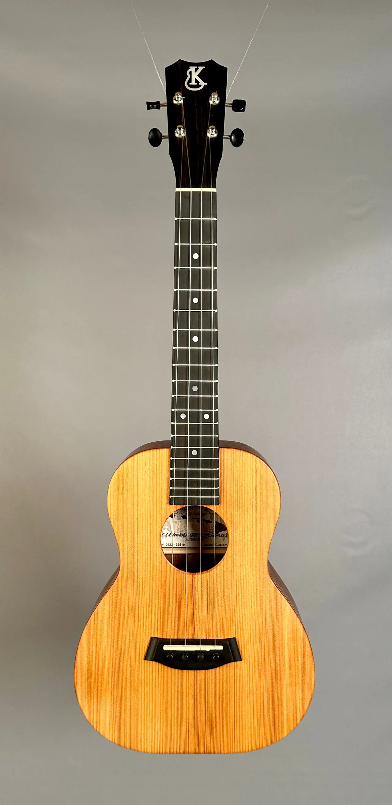 Zdjęcie Gdzie kupić ukulele? Najlepsze sklepy i porady dla początkujących
